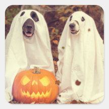 HALLOWEWEEN CHIENS COMME STICKER CARRÉ DES GHOSTS