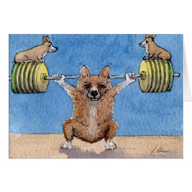 Haltérophilie de corgi de Gallois (Devant horizontal)
