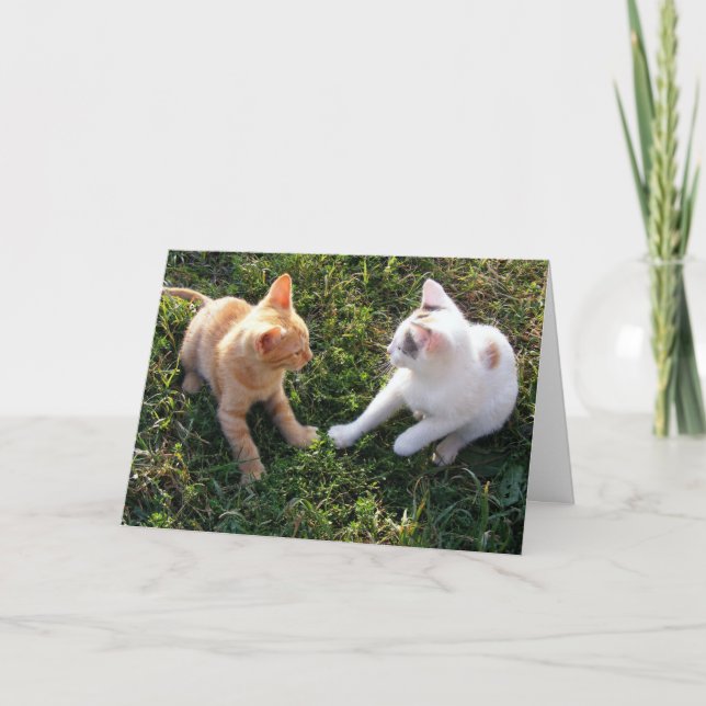 HAMbWG - Carte de voeux - 2 chats (Devant)