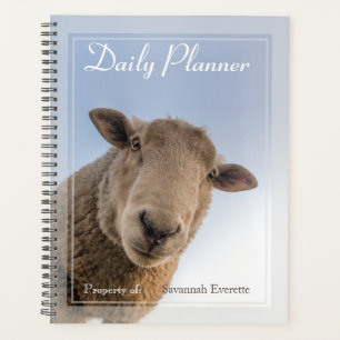 HAMbWG - Planificateur quotidien photo - Mouton