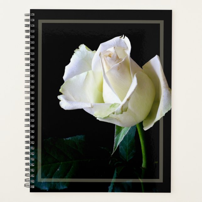 HAMbWG - Planificateur quotidien - Rose blanche (Devant)