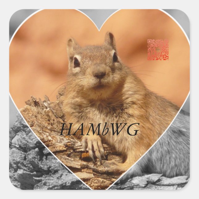 HAMbWG - Stickers - Squirrel G/B Heart Logo (Devant)