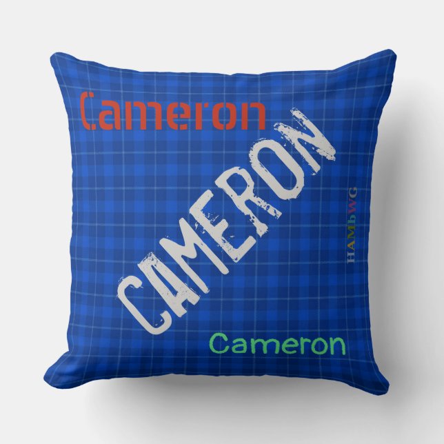 HAMbWG Vanity Coussin - Ajouter un nom - Plaid ble (Recto)