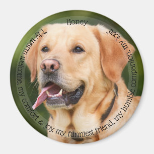 HAMbyWG Magnet pour animaux familiers