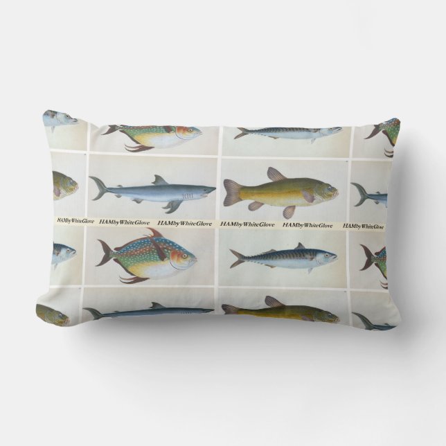 HAMbyWG - Oreillers à lancer - Quatre poissons (Recto)