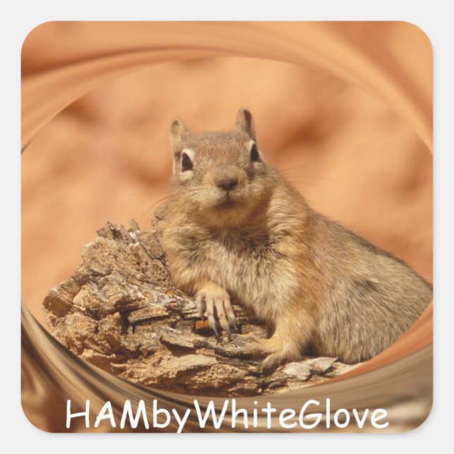 HAMbyWG - Stickers - Écureuil dans le logo de l'éc (Devant)