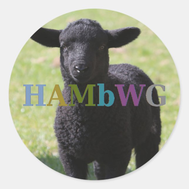 HAMbyWG - Stickers - Mouton noir (Devant)