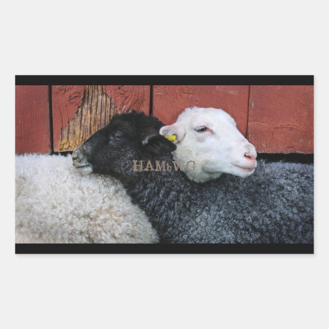 HAMbyWG- Stickers - Mouton noir blanc (Devant)