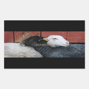 HAMbyWG- Stickers - Mouton noir blanc