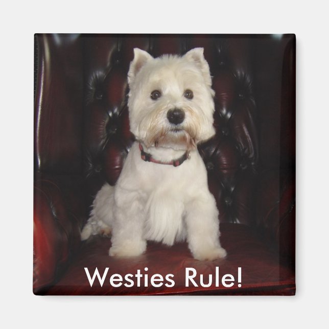 Hamish McTavish Westies Rule Fridge Magnet (Devant)