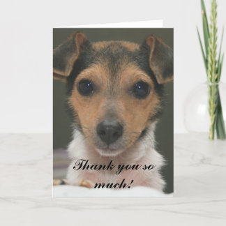 Hamlin - Merci tant !