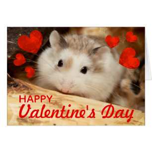HammyVille - Cute Robo Hamster Valentine