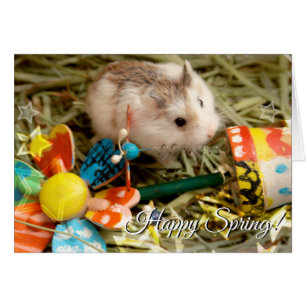 Hammyville - Hamster de fleurs de printemps