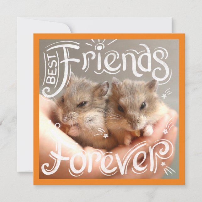 Hammyville - Hamster Meilleurs Amis Pour Toujours (Devant)