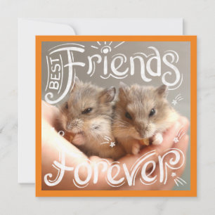 Hammyville - Hamster Meilleurs Amis Pour Toujours