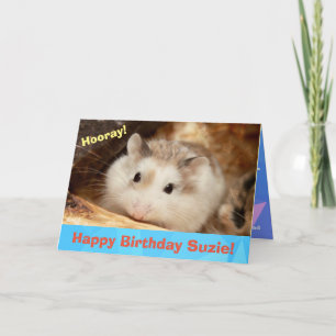 Hammyville - Jolie carte d'anniversaire Hamster