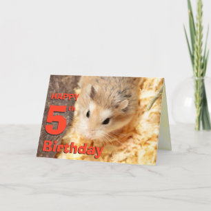 Hammyville - Jolie carte d'anniversaire Hamster