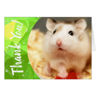 Hammyville - Merci de Hamster mignon