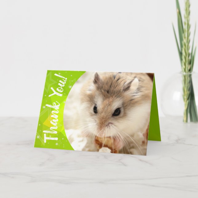 Hammyville - Merci de Hamster mignon (Devant)