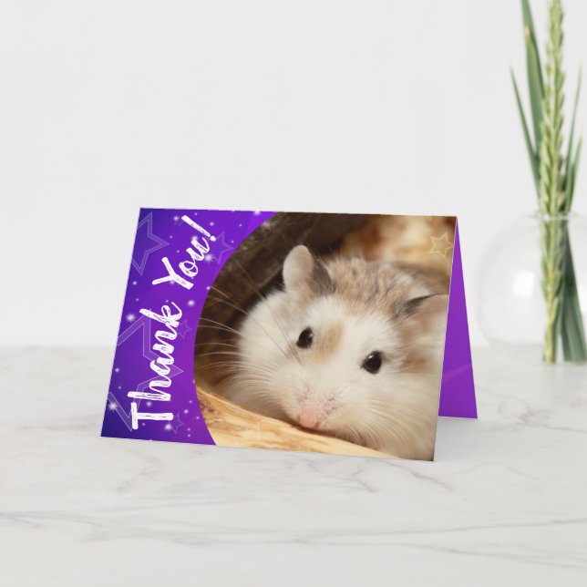 Hammyville - Merci mignon de hamster (Devant)