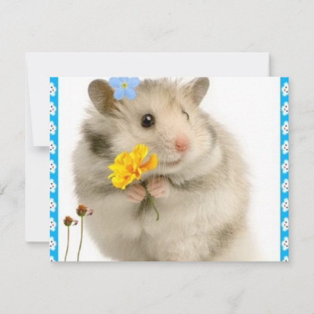 hamster (Devant)