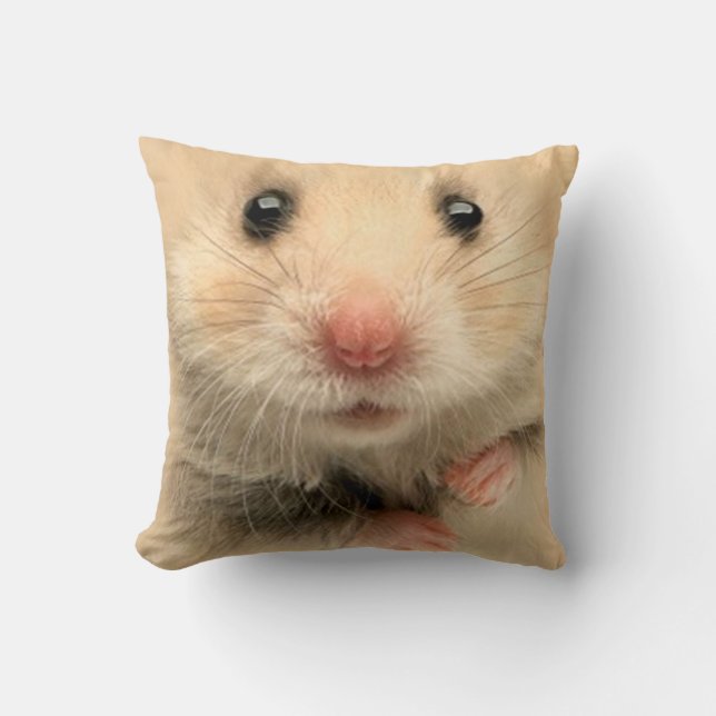 hamster Coussin (Recto)