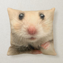 hamster Coussin