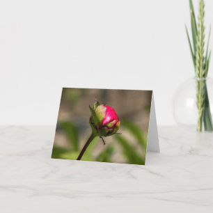 "Hang in There" Carte de voeux Pony pliée