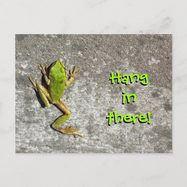 Hang in There Frog Carte postale (Devant)