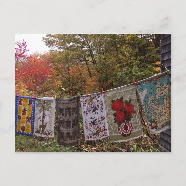 "Hangout" No 2 Carte Postale Vintage Clothesline (Devant)