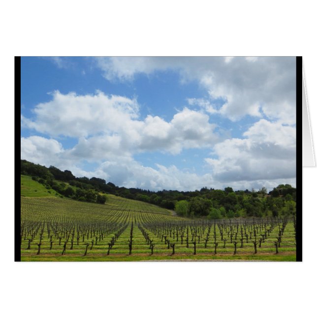 Hannah établissement vinicole en avril 2018 (Devant horizontal)