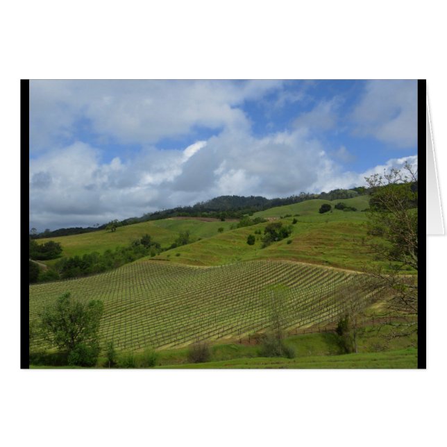 Hannah établissement vinicole vue en avril 2018 (Devant horizontal)