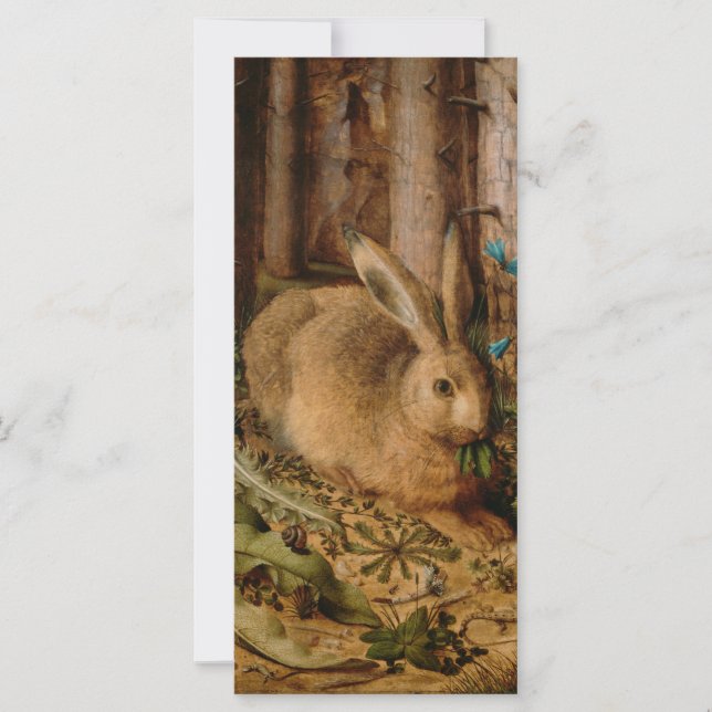 Hans Hoffmann Un Lièvre Dans La Forêt (Devant)