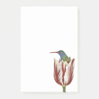 Hans le colibri dans un pavé de notes Post-it en t