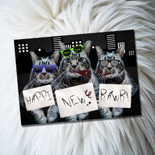Happi Nouvel Rawr Trio de Chat