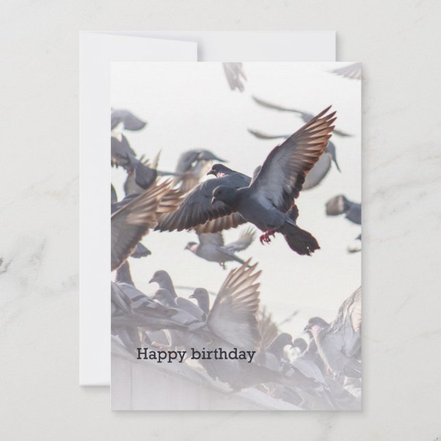 Happy Birthday Card for Pigeons (Dos)