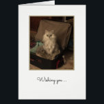Happy Birthday Cat in Suitcase Card<br><div class="desc">A furry white kitty named Kiki is sitting in an open suitcase full of packed clothes.</div>