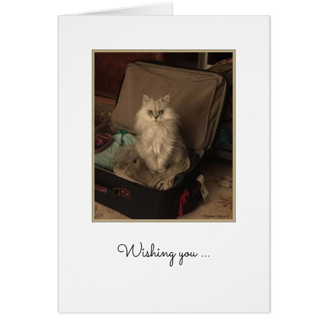 Happy Birthday Cat in Suitcase Card (Devant)