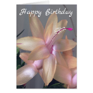 *~* Happy Birthday Flower Photography Customize