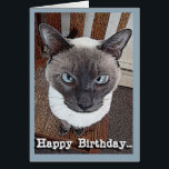 Happy Birthday Funny Big Head Siamese Cat<br><div class="desc">Big headed Siamese cat sitting in a chair is featured on this funny Happy Birthday greeting card. Art,  image,  and verse © Shoaff Ballanger Studios,  2023.</div>