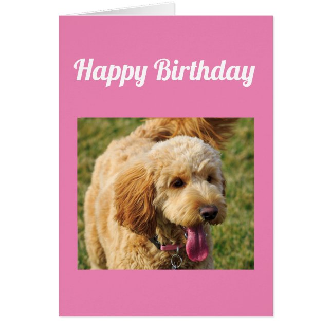 Happy Birthday Goldenoodle Dog Card (Devant)