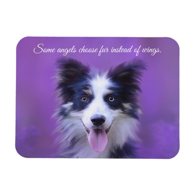 Happy Border Collie Dog, Angel with For Magnet (Horizontal)