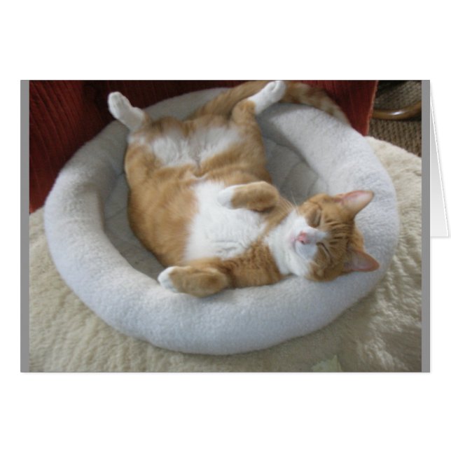 Happy Cat (Devant horizontal)