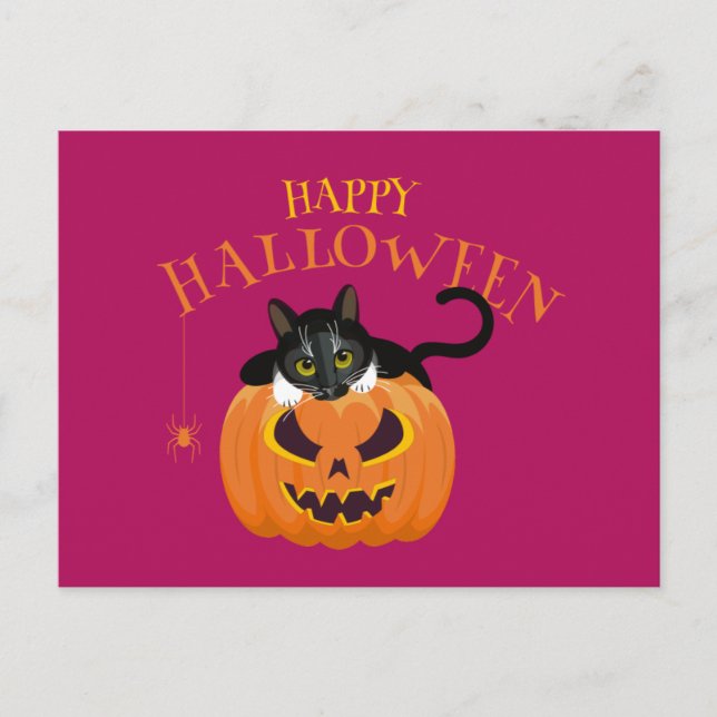 Happy Halloween Chat fun Carte postale (Devant)