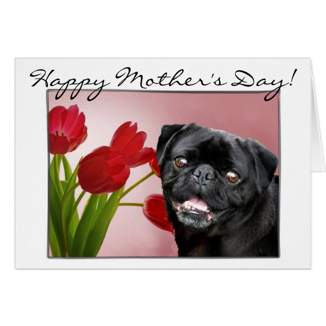 Happy Mother's Day Carlin chien carte de voeux (Devant horizontal)