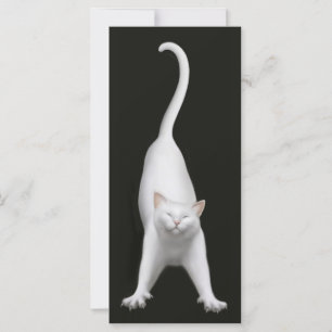 Happy Stretching Cat Signet