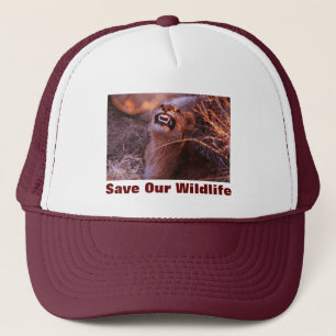 Happy Tau Sauvez notre Casquette de la faune