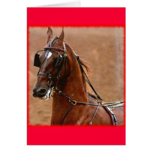 Harnais de plaisance Saddlebred Art numérique Bord