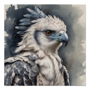 Harpy Eagle no 1 Poster brillant