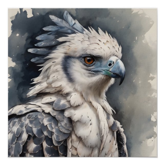 Harpy Eagle no 1 Poster brillant (Devant)